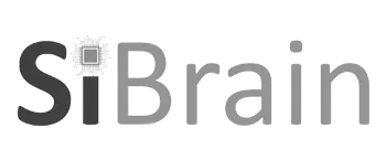 Sibrain Technologies Private Limited Logo